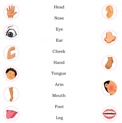 Two Little Hands Diagram 1