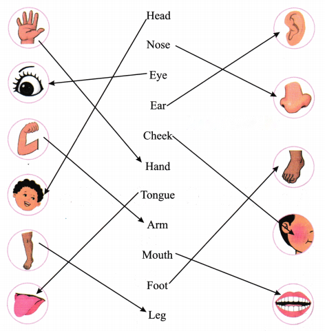 Two Little Hands Diagram 2