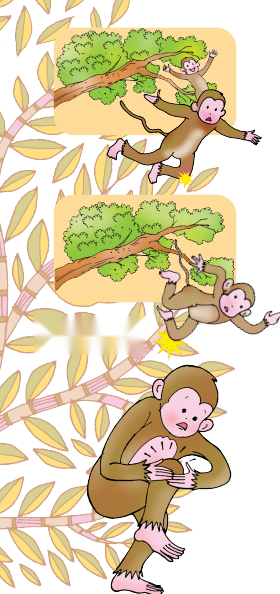Picture Time Diagram 10