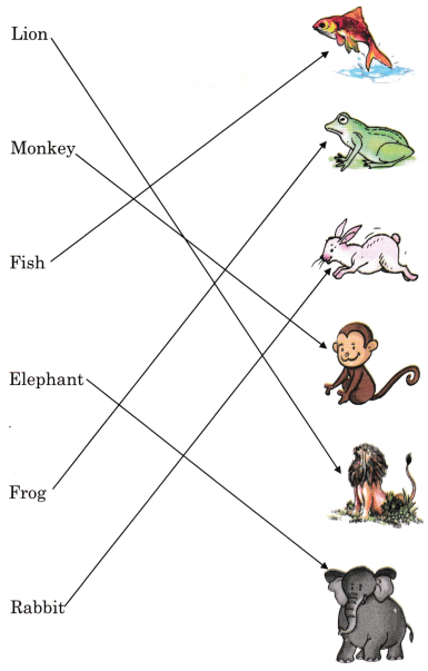 Picture Time Diagram 7