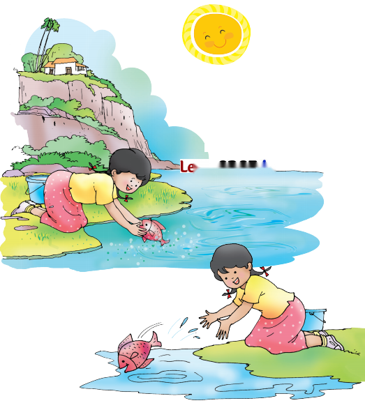 Picture Time Diagram 8