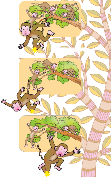 Picture Time Diagram 9