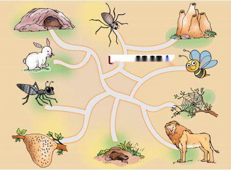 The Cap-seller and the Monkeys Diagram 29
