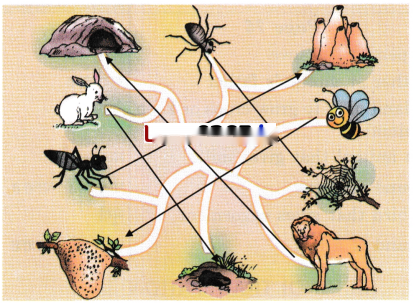 The Cap-seller and the Monkeys Diagram 30