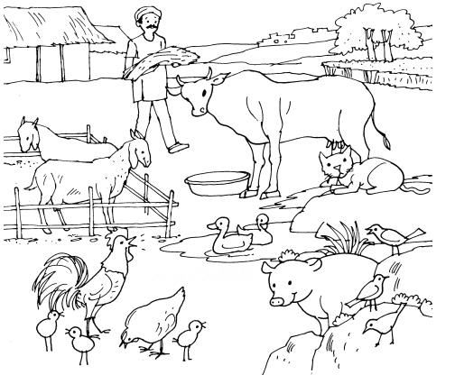 A Farm Diagram 2