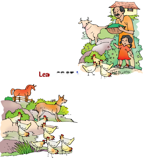 A Farm Diagram 8