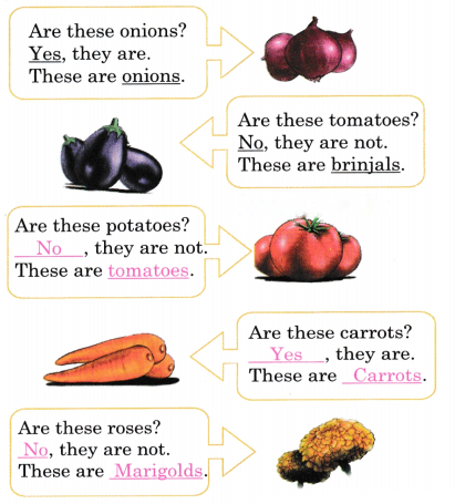 Fun with Pictures Diagram 8