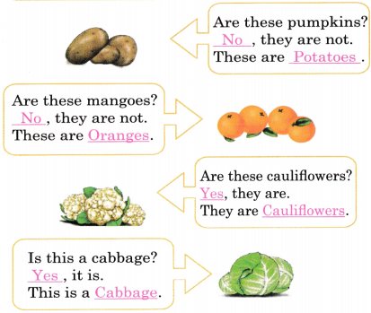 Fun with Pictures Diagram 9