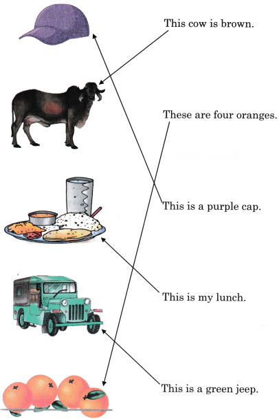 The Food We Eat Diagram 8