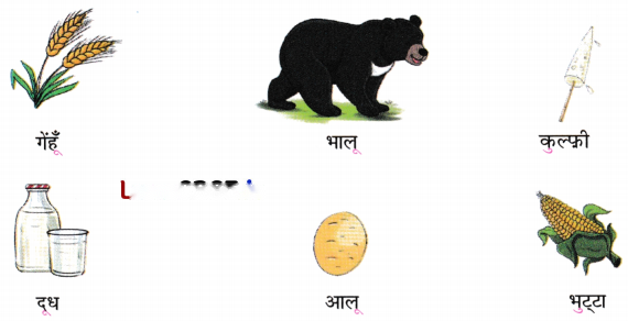 भुट्टे Diagram 6