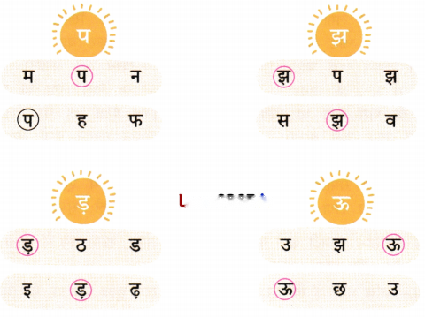 फूली रोटी Diagram 13
