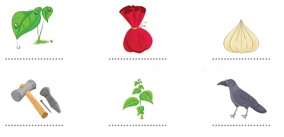 होली Diagram 10