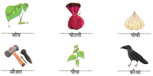 होली Diagram 11