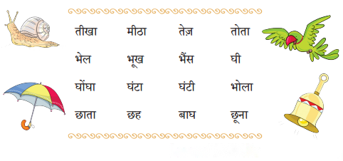 होली Diagram 3
