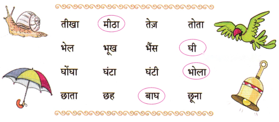 होली Diagram 4