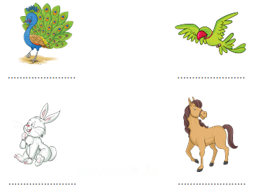 कितनी प्यारी है ये दुनिया Diagram 3
