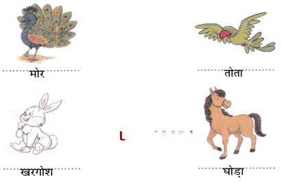 कितनी प्यारी है ये दुनिया Diagram 4