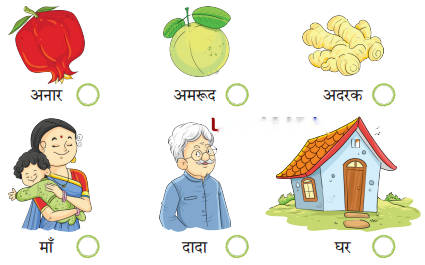 दादा दादी Diagram 3
