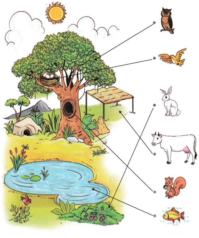 रीना का दिन Diagram 3