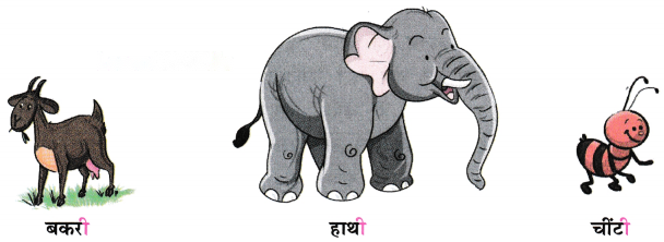 तीन साथी Diagram 6