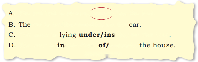 Finding the Furry Cat! (Pre-number Concepts) Diagram 3
