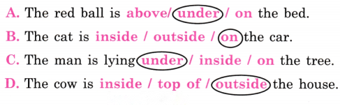 Finding the Furry Cat! (Pre-number Concepts) Diagram 4