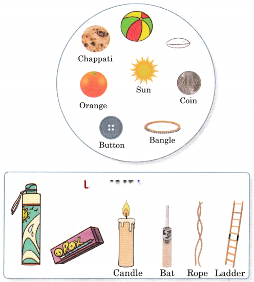 What is Long? What is Round? (Shapes) Diagram 5