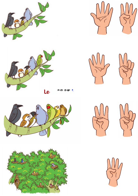 Mango Treat (Numbers 1 to 9) Diagram 3