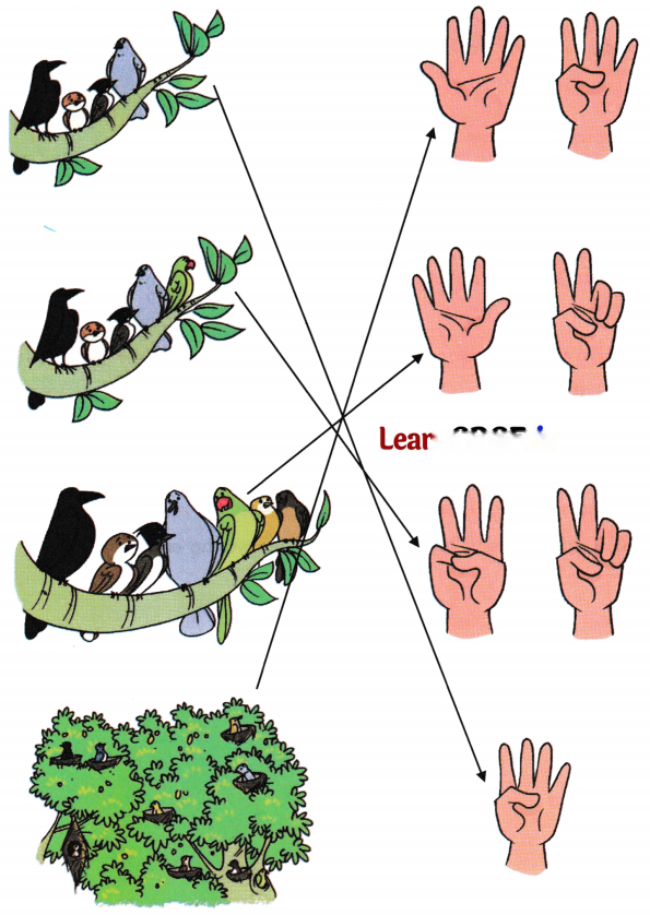 Mango Treat (Numbers 1 to 9) Diagram 4