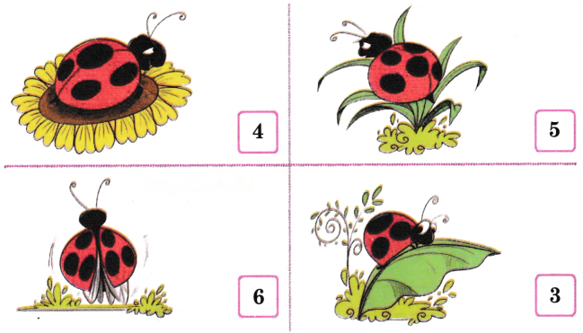 Making 10 (Numbers 10 to 20) Diagram 3