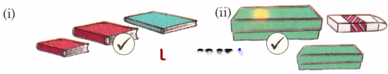 Lina's Family (Measurement) Diagram 11