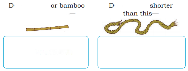 Lina's Family (Measurement) Diagram 15