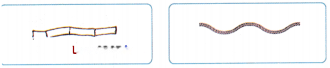 Lina's Family (Measurement) Diagram 16