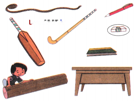 Lina's Family (Measurement) Diagram 20