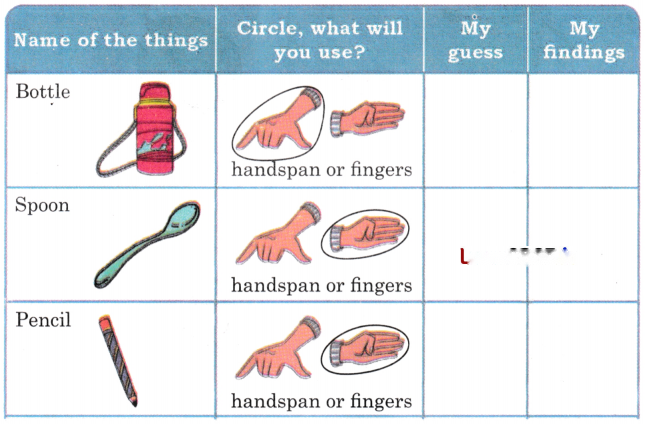 Lina's Family (Measurement) Diagram 22