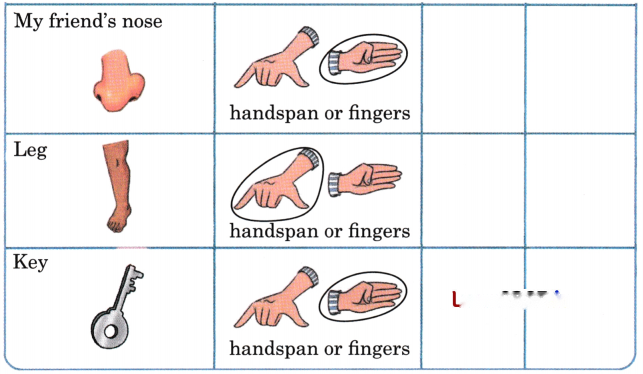 Lina's Family (Measurement) Diagram 23