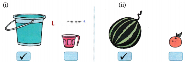 Lina's Family (Measurement) Diagram 26
