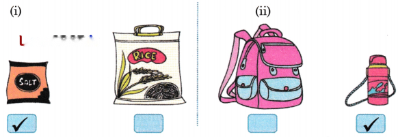 Lina's Family (Measurement) Diagram 29