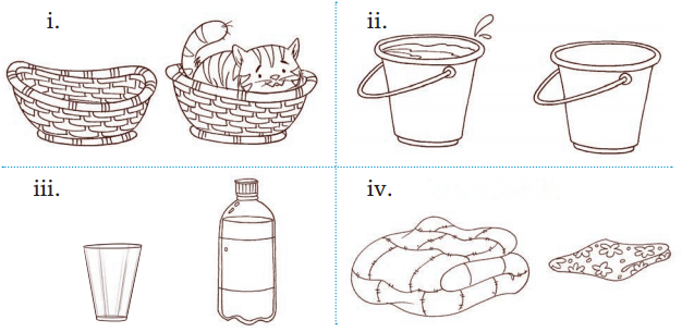 Lina's Family (Measurement) Diagram 30