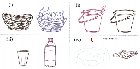 Lina's Family (Measurement) Diagram 31