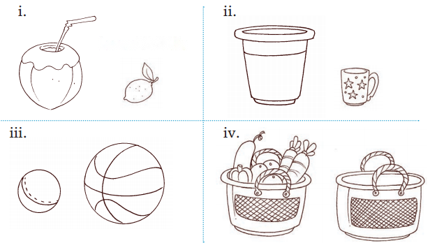 Lina's Family (Measurement) Diagram 32