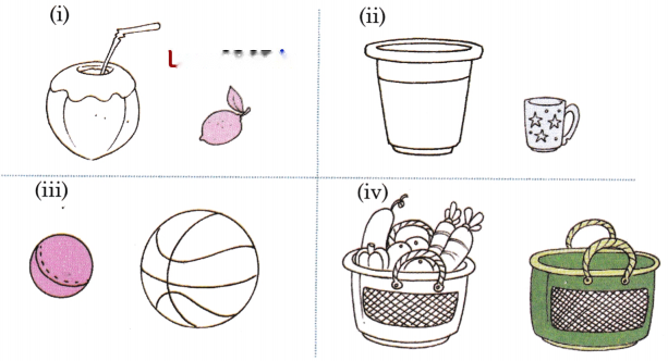 Lina's Family (Measurement) Diagram 33