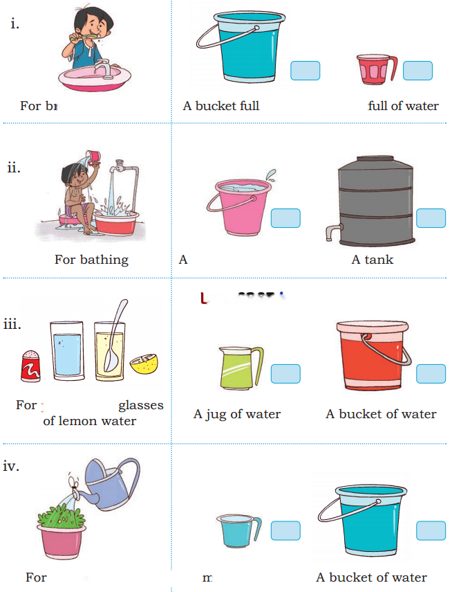 Lina's Family (Measurement) Diagram 38