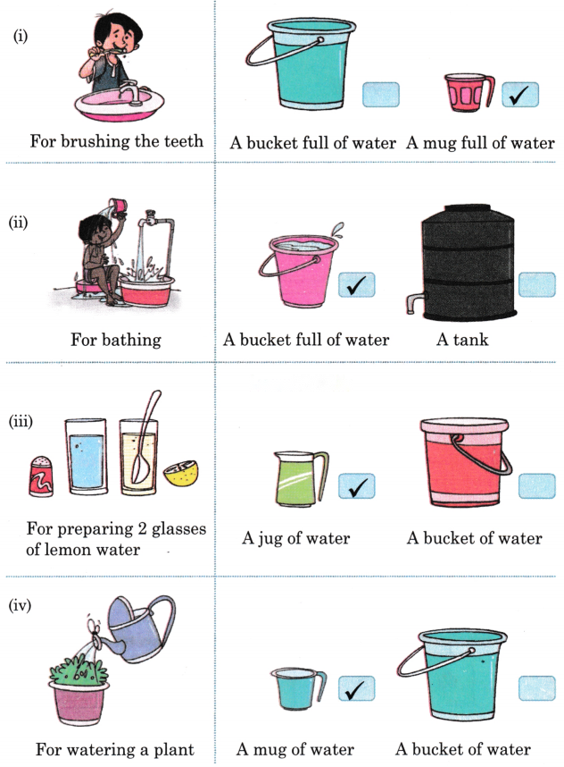 Lina's Family (Measurement) Diagram 39