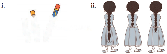 Lina's Family (Measurement) Diagram 4