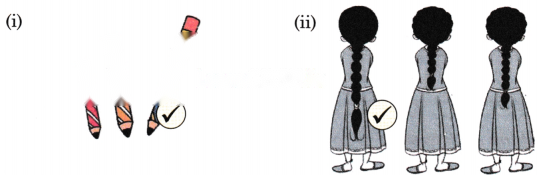 Lina's Family (Measurement) Diagram 5