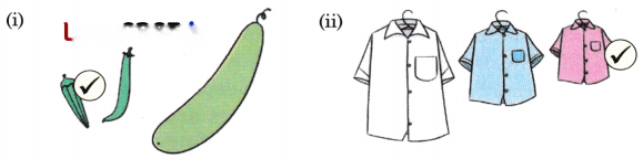 Lina's Family (Measurement) Diagram 8