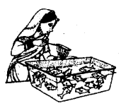 Probability Diagram 11