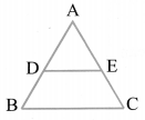 Triangles Diagram 101