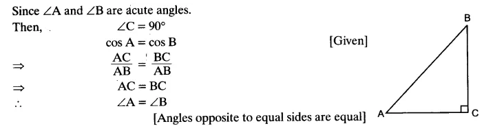 Introduction to Trigonometry Diagram 6